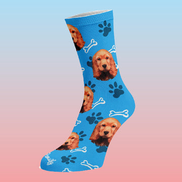 All Pet Socks Designs
