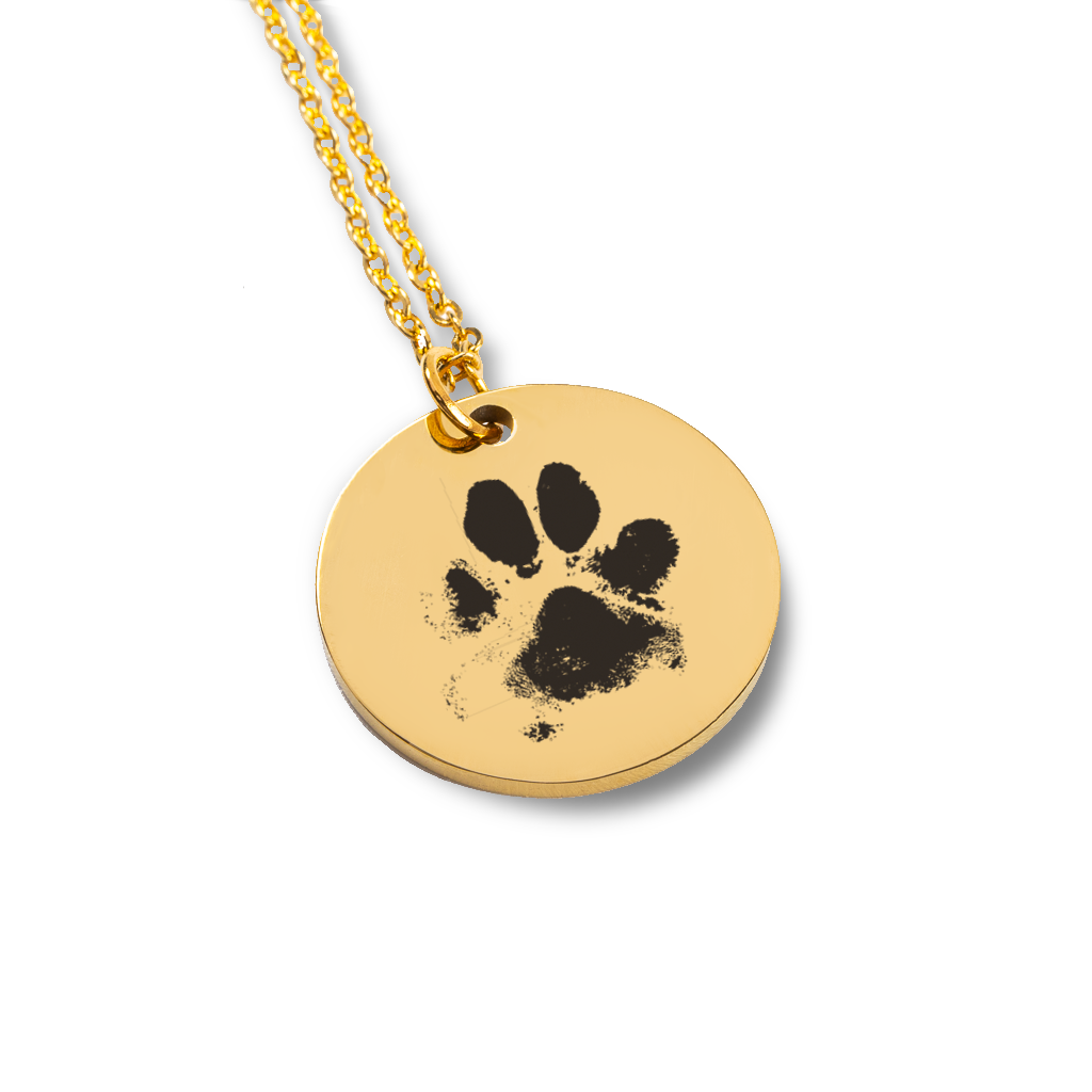 Pet Gifts For You Paw Print Necklace