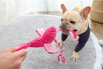 Cute Flamingo Dog Toy