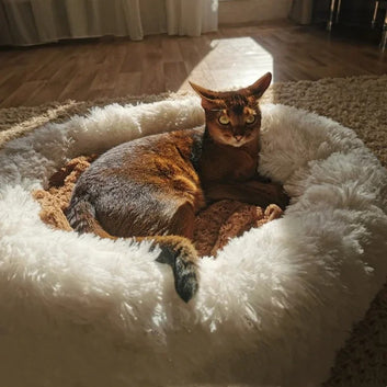 Super Soft Plush Dog Bed