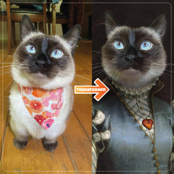 The Lady - Custom Pet Jigsaw Puzzle