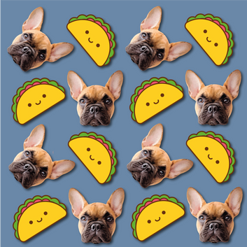 Taco Bottle - Custom Pet Water Bottle