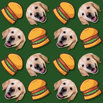 Burger Bottle - Custom Pet Water Bottle