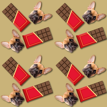 Chocolate Bottle - Custom Pet Water Bottle