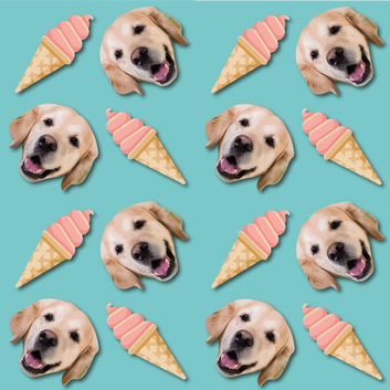 Ice Cream - Custom Pet Water Bottle