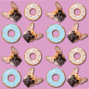 Doughnut Bottle - Custom Pet Water Bottle